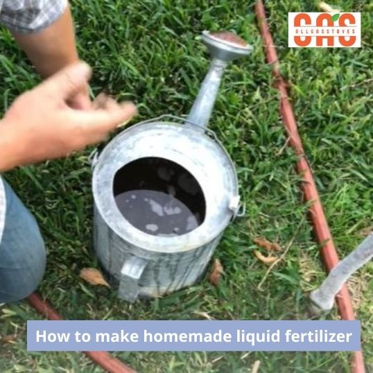 5 Ways to Make Homemade Liquid Fertilizer for Plant’s Supercharged Growth